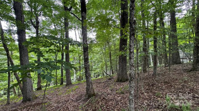 530 El Miner Dr, Home with 0 bedrooms, 0 bathrooms and null parking in Mars Hill NC | Image 10