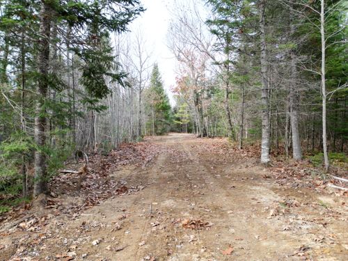 Lot 8 Stevens Brook Lane, Greenbush, ME, 04418 | Card Image