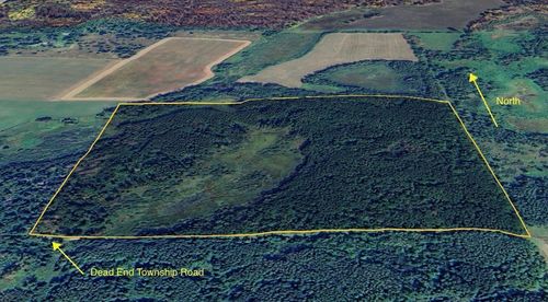 15 500th St, Solway, MN, 56678 | Card Image