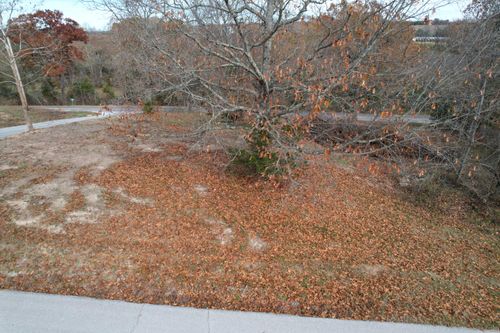 12 Rodeo Dr, Ava, MO, 65608 | Card Image