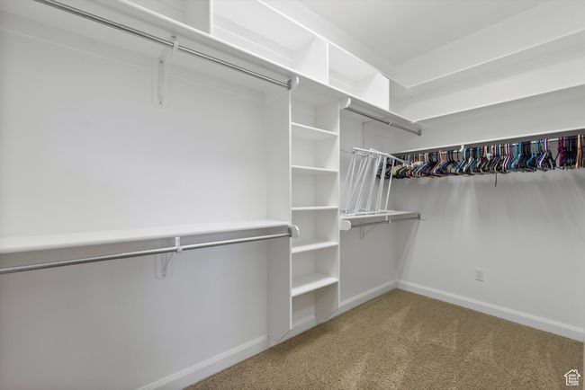 Walk in closet with carpet | Image 56