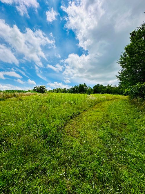 1625 County Rd, Lacon, IL, 61540 | Card Image