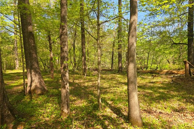 00 Cohutta Beaverdale Rd, Home with 0 bedrooms, 0 bathrooms and null parking in Cohutta GA | Image 16