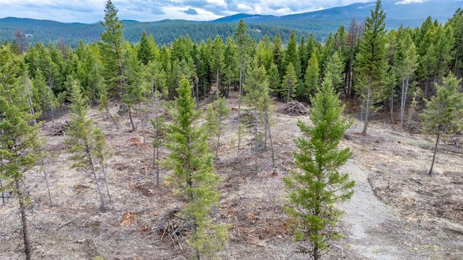 32 Osprey Loop, Home with 0 bedrooms, 0 bathrooms and null parking in Fortine MT | Image 18