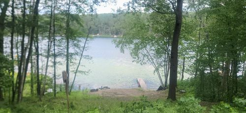 2846 White Pine Ln, Motley, MN, 56466-2482 | Card Image