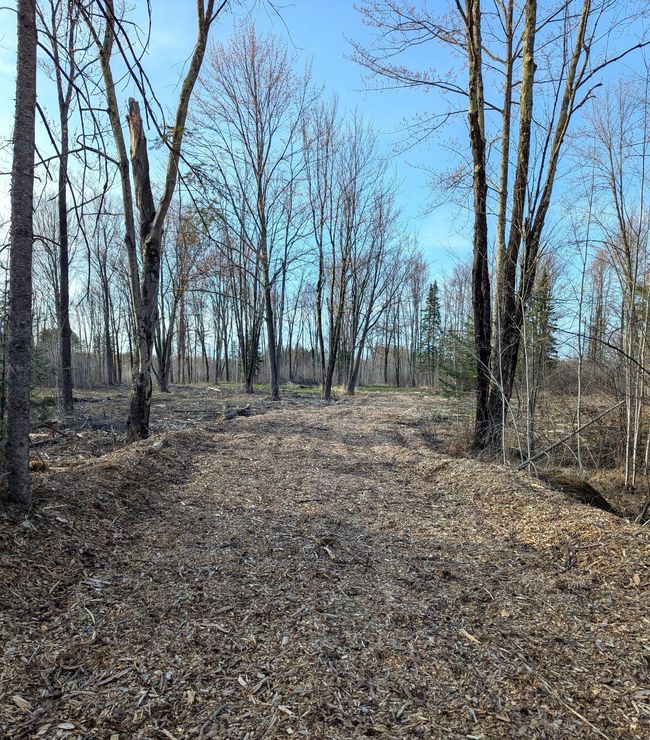 00 Cth X, Home with 0 bedrooms, 0 bathrooms and null parking in PRENTICE WI | Image 15