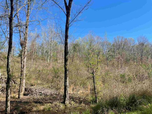 TBD County Road 3223 S, Mount Enterprise, TX, 75681 | Card Image