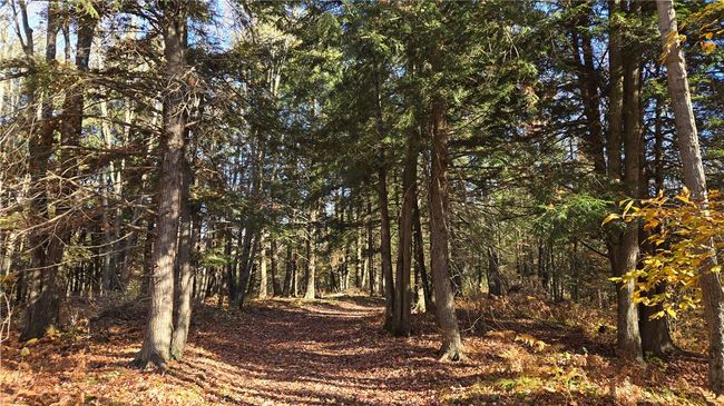 2984 N Weirgor Rd, House other with 4 bedrooms, 1 bathrooms and null parking in EXELAND WI | Image 31
