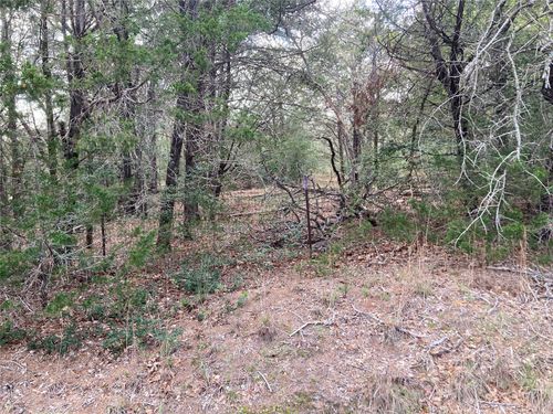 lot-14-b-314 Green Oaks Dr, Bastrop, TX, 78602-7665 | Card Image