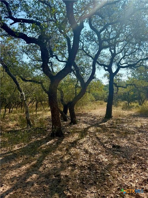 0 County Road 14/Pvt 1066 Tx, Hallettsville, TX, 77964 | Card Image