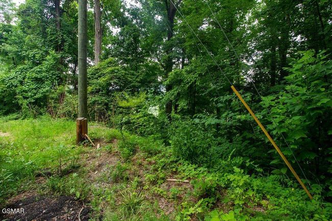 13 Sugar Maple Loop Rd, Home with 0 bedrooms, 0 bathrooms and null parking in Sevierville TN | Image 6