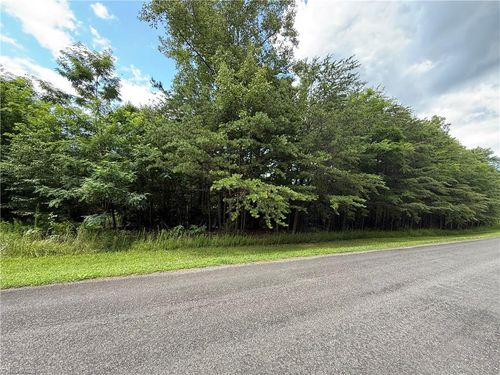 0 Apple Blossom Ln, Westfield, NC, 27053 | Card Image