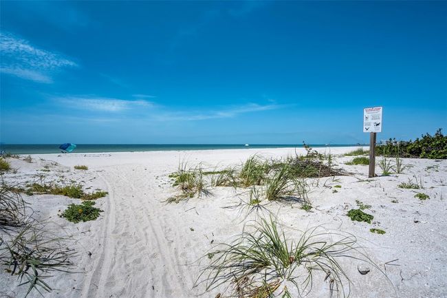Beach | Image 20
