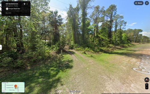 433 Gardenia Ave, Georgetown, FL, 32139 | Card Image