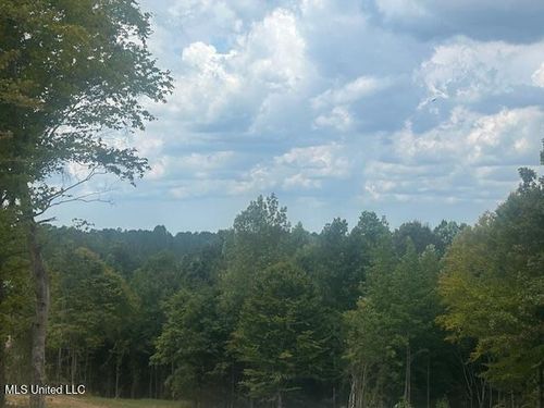 0 Cr 244, Ripley, MS, 38663 | Card Image