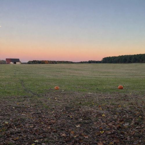 11661 75th Ave, Mecosta, MI, 49332-9355 | Card Image