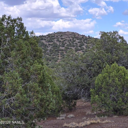 4180 N Muriel Drive, Williams, AZ, 86046 | Card Image
