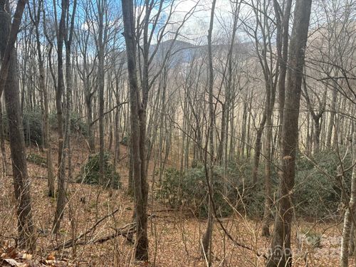 68-68 Grouse Rd, Clyde, NC, 28721-6750 | Card Image