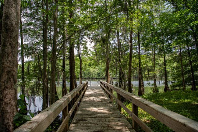 119 Twisted Oak Trail | Image 56