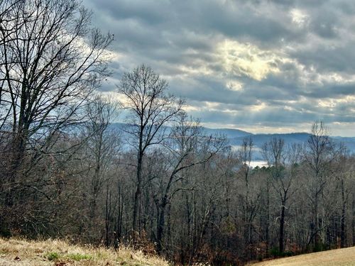 0 Topaz Ln, New Tazewell, TN, 37825 | Card Image