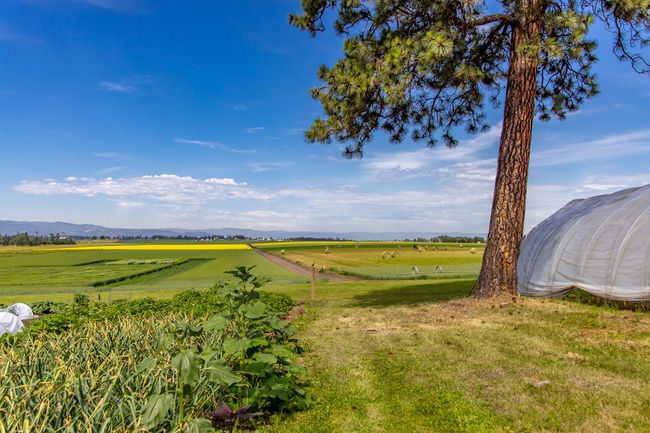100 Riverside Rd, House other with 4 bedrooms, 3 bathrooms and null parking in Kalispell MT | Image 66