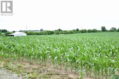 15686 Muirkirk Line, Muirkirk, ON, N0L1X0 | Card Image