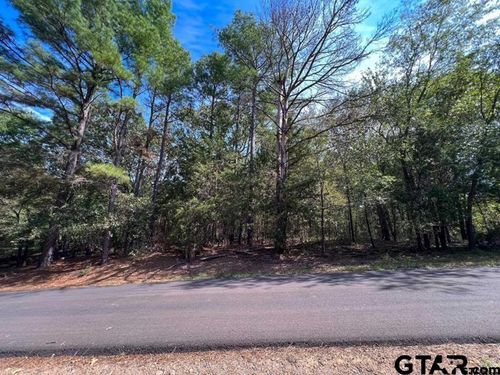 Lot 49 Angelina Ct, Mt Vernon, TX, 75457-8059 | Card Image