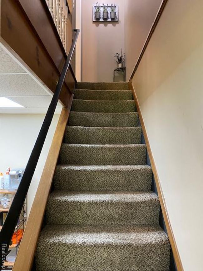 IMG_3729.jpg | Image 55