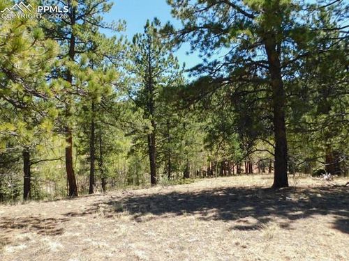 51 Mariposa Drive, Cripple Creek, CO, 80813 | Card Image