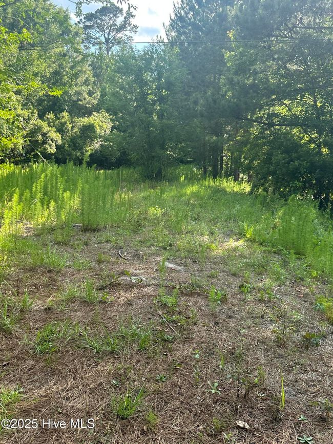 0000 Hubert Blvd, Home with 0 bedrooms, 0 bathrooms and null parking in Hubert NC | Image 8