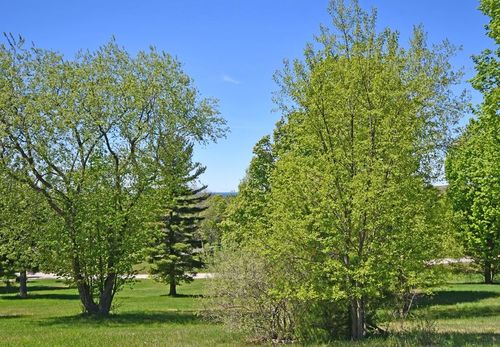 00 W Sleepy Valley Dr, Empire, MI, 49630 | Card Image