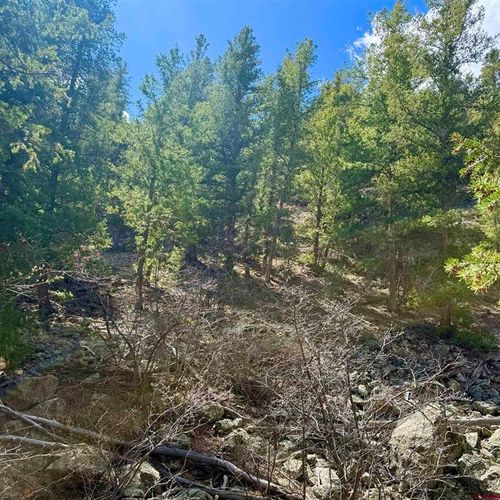 tdb Lochleven Ln, Almont, CO, 81210 | Card Image