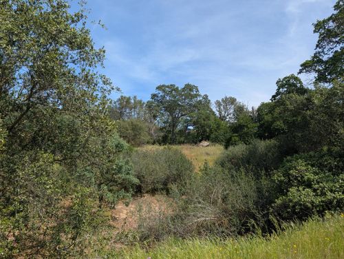 660 Willowood Ln, Squaw Valley, CA, 93675 | Card Image