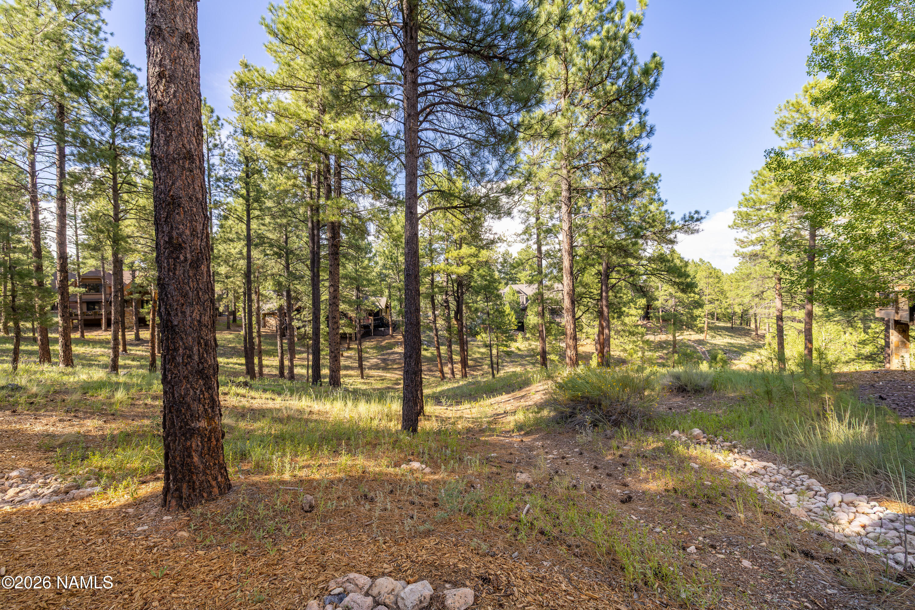 Residential in Flagstaff 4
