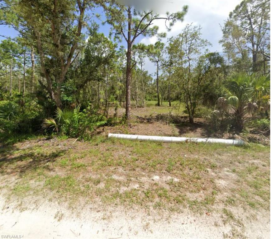 Land in PUNTA GORDA 2