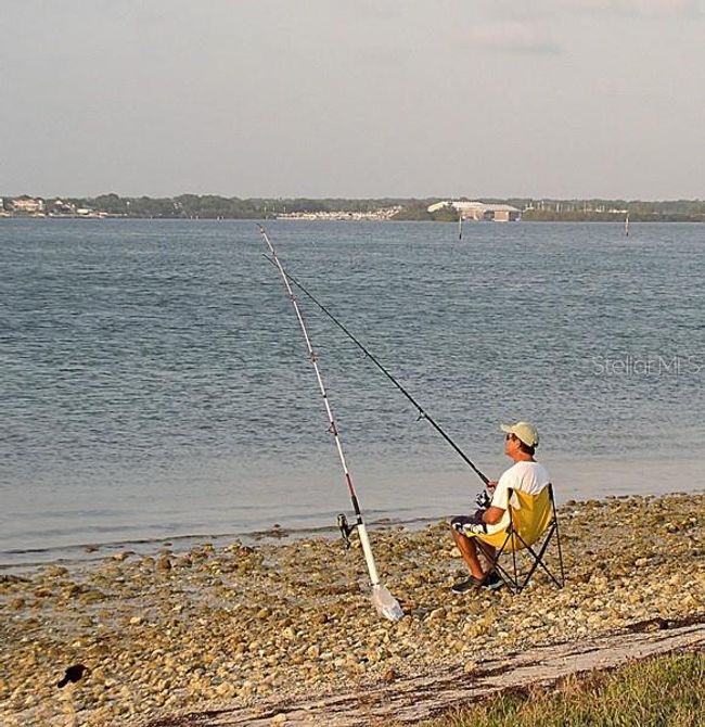 View From Causeway | Image 42