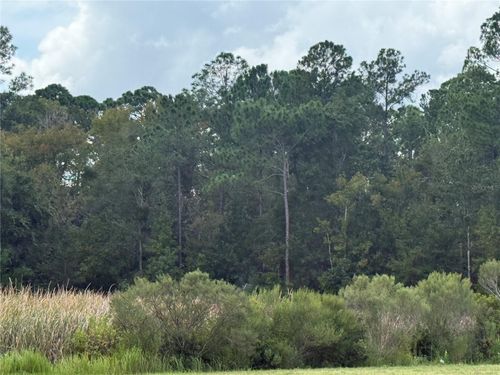 10855 W Homosassa Trl, HOMOSASSA, FL, 34448 | Card Image