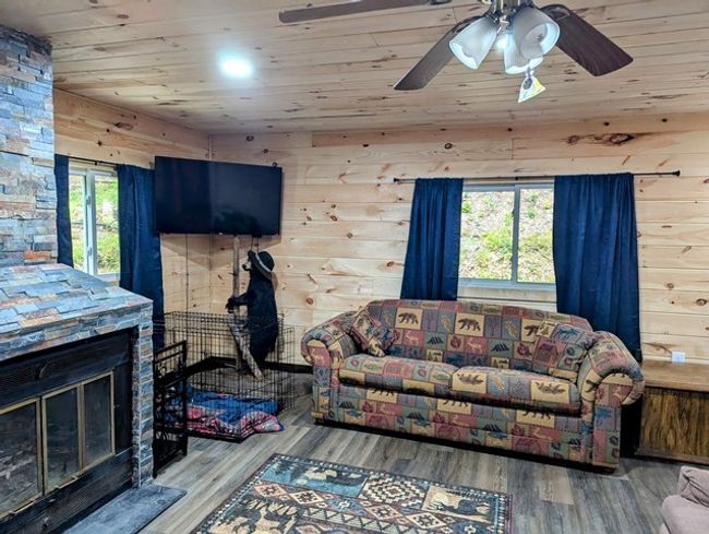 198 Spring Run Rd, Home with 1 bedrooms, 1 bathrooms and null parking in Smethport PA | Image 5