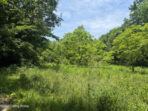 0 Edgar Basham Rd, Irvington, KY, 40146 | Card Image