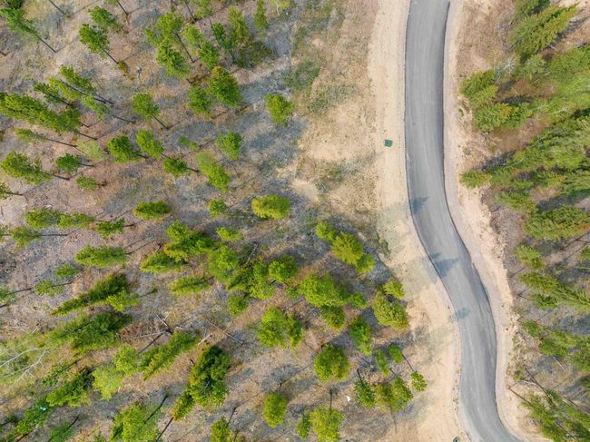 LOT-10-BLOCK-5-TRAILSIDE - Lot 10 Block 5 Trailside Loop, Home with 0 bedrooms, 0 bathrooms and null parking in Lead SD | Image 9
