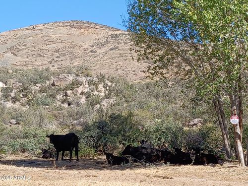 3-10450 E Humboldt St, Humboldt, AZ, 86329 | Card Image