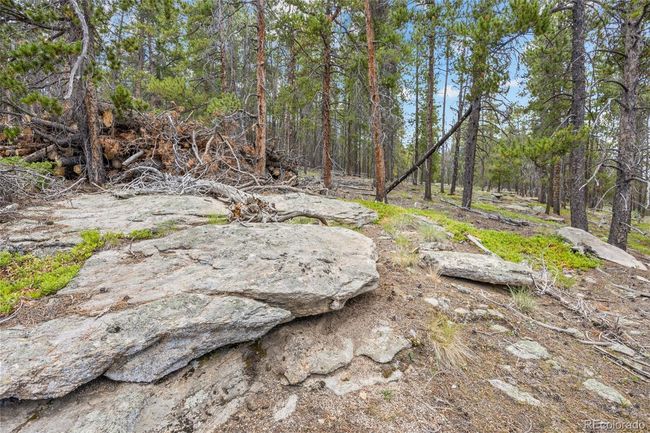 Amazing outcroppings, rows of aspens adorn the generous lot | Image 5