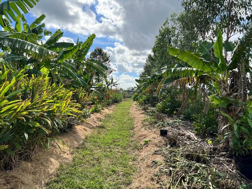 20915 Antoinette St, Loxahatchee, FL, 33470-2013 | Card Image