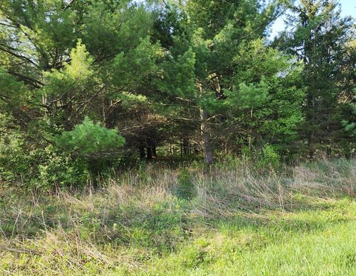 lot-13-ON Lukes Heights Rd, Ogema, WI, 54459 | Card Image