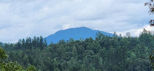 LOT 3 S Cross Creek Trl, Mill Spring, NC, 28756 | Card Image