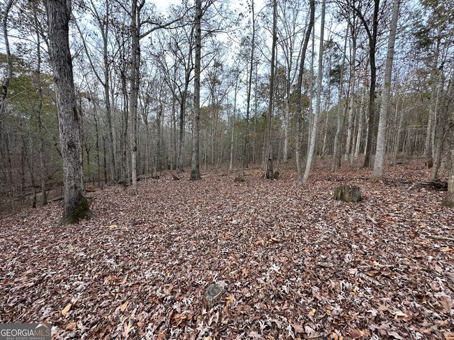178 Ben Burton Cir, Home with 0 bedrooms, 0 bathrooms and null parking in Bogart GA | Image 7
