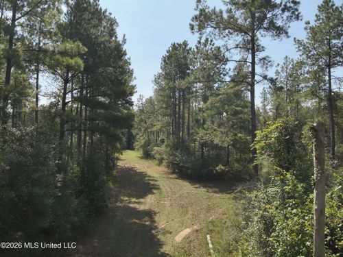 40 J W Jones Road, Oak Vale, MS, 39656 | Card Image