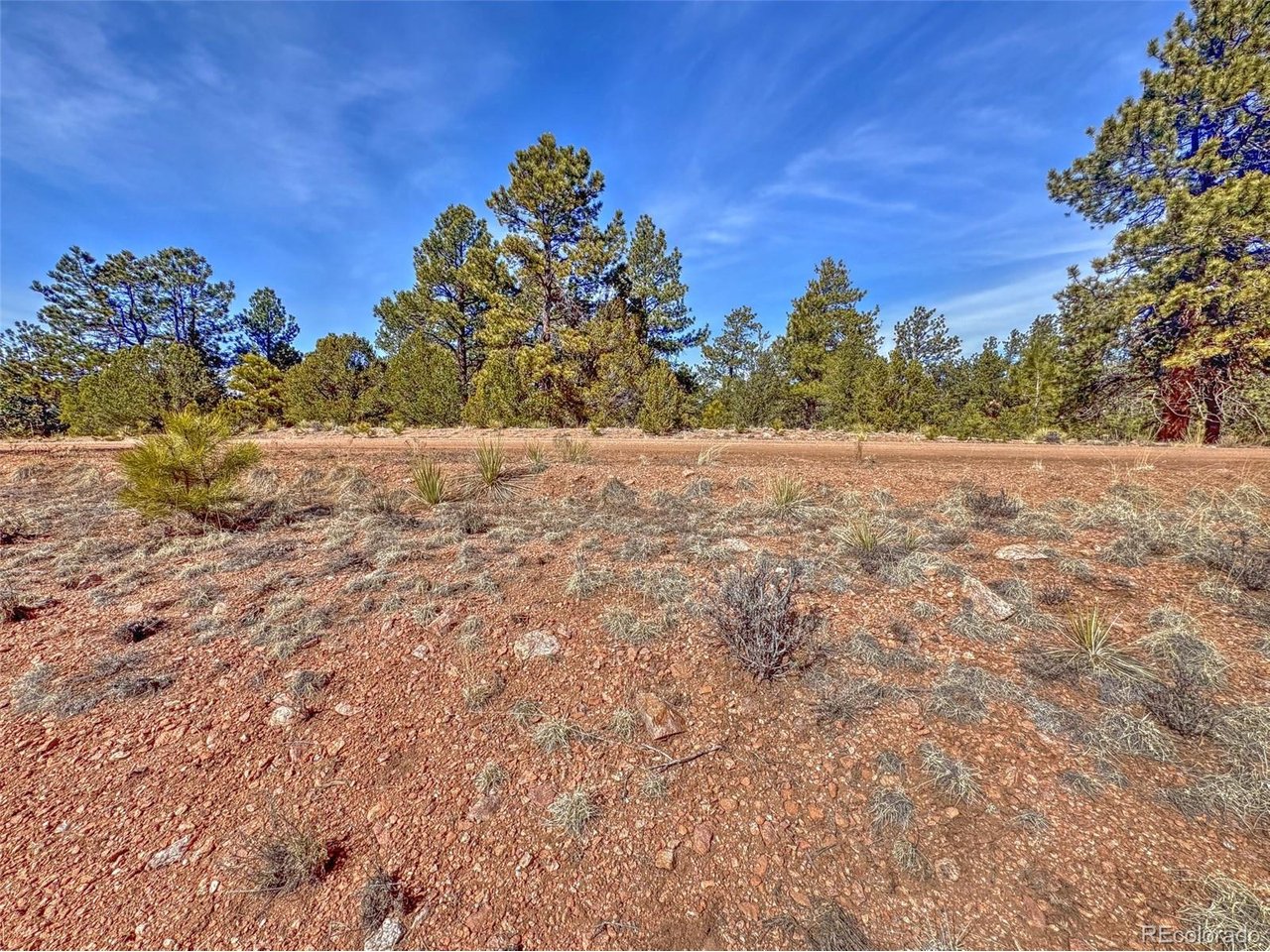 Land in Westcliffe 4