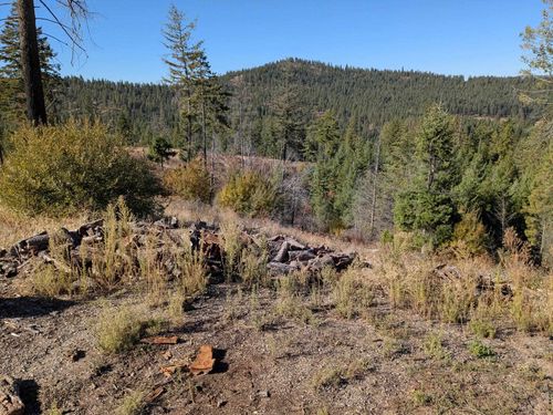 42484 Mount Moriah Way, Loon Lake, WA, 99148-8609 | Card Image