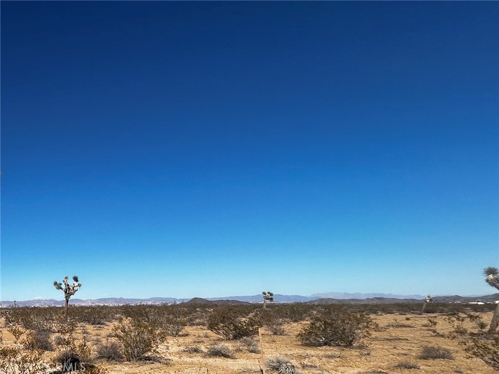 Land in Joshua Tree 3